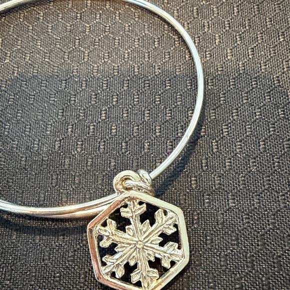 Alex and Ani Silver Snowflake Charm Bangle - Picture 4 of 6